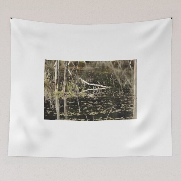Item preview, Wood Duck swimming designed and sold by Sometimes-store.