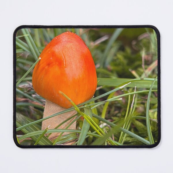 Item preview, Little Red Orange Wild Mushroom in the Grass Photo designed and sold by wanderingkayla.