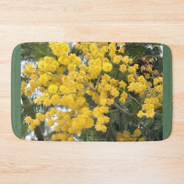 Item preview, Golden Mimosa Acacia Tree in Full Spring Bloom designed and sold by BalkanBloom.