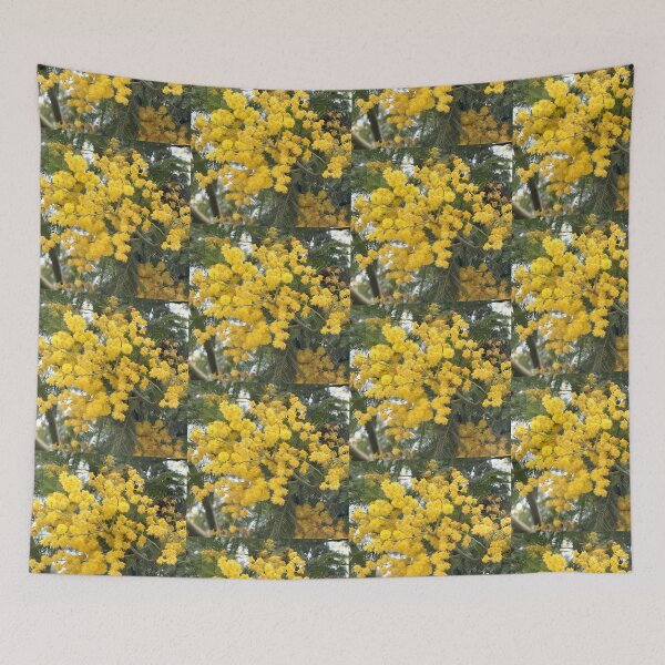 Item preview, Golden Mimosa Acacia Tree in Full Spring Bloom designed and sold by BalkanBloom.