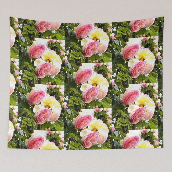 Item preview, Detailed Top-Down View of Pale Green Aeonium Succulent designed and sold by BalkanBloom.
