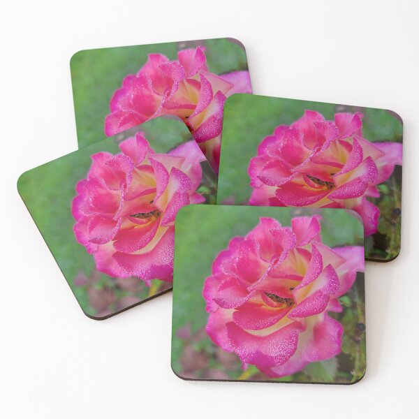 Item preview, Pink Sorbet Rose designed and sold by Lunar Bound Imagery .