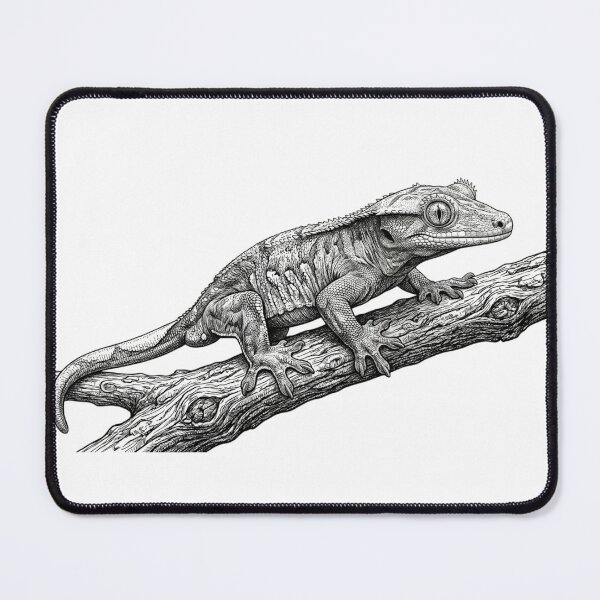 Item preview, Realistic fine line crested gecko designed and sold by Minimalisticaly.