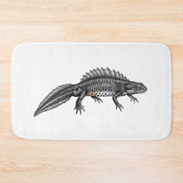 Item preview, Realistic high detail black and white crested newt designed and sold by Minimalisticaly.