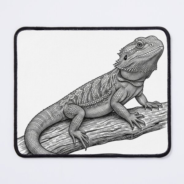 Item preview, Realistic high detail black and white bearded dragon designed and sold by Minimalisticaly.
