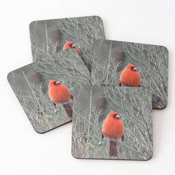 Item preview, Male Northern Cardinal in Fall designed and sold by WonderingNature.