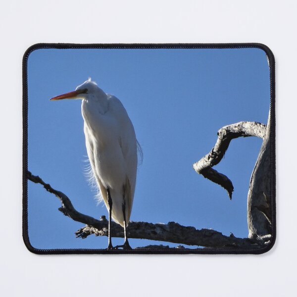 Item preview, Great Egret designed and sold by WonderingNature.