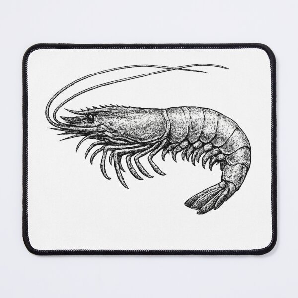 Item preview, Realistic minimalistic black and white shrimp designed and sold by Minimalisticaly.
