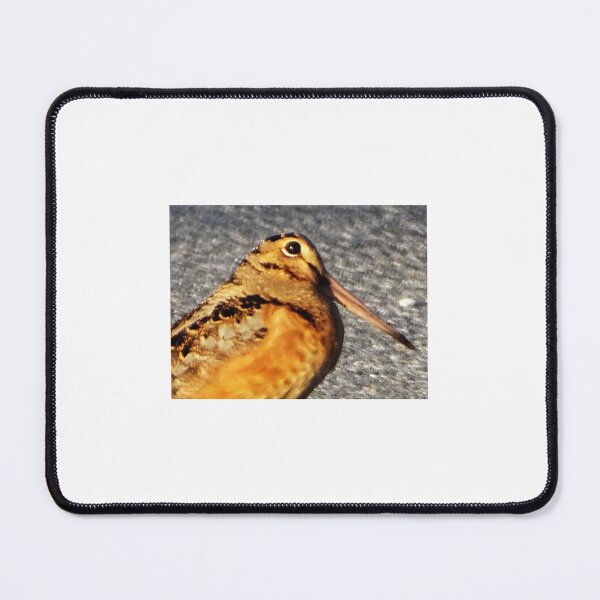Item preview, Timberdoodle-American Woodcock designed and sold by WonderingNature.