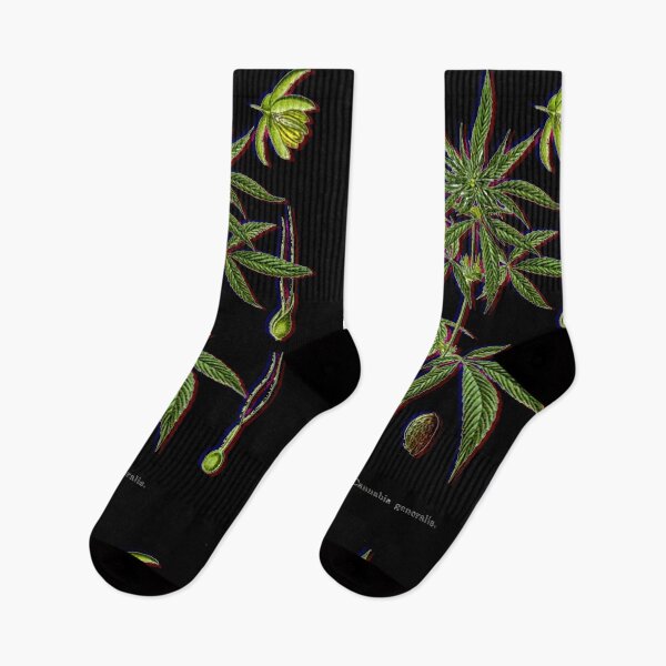 Aperçu de l'œuvre Art botanique du cannabis, du chanvre et de la marijuana créée et vendue par BlueLineLAX.