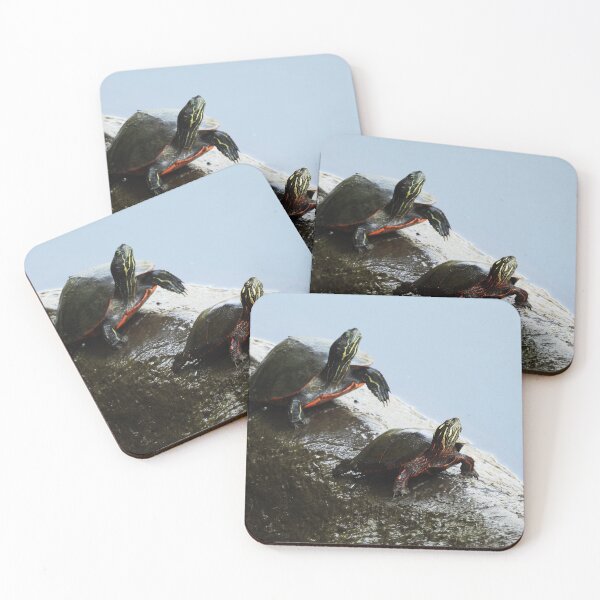 Item preview, Turtles on a log designed and sold by WonderingNature.