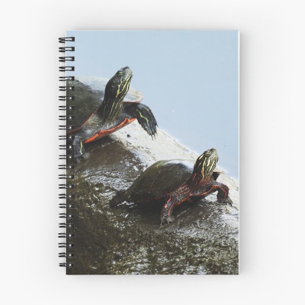 Item preview, Turtles on a log designed and sold by WonderingNature.