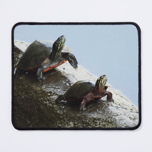Item preview, Turtles on a log designed and sold by WonderingNature.
