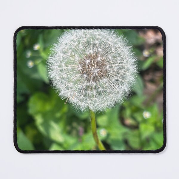 Item preview, Beautiful  designed and sold by BOBBYBABE.