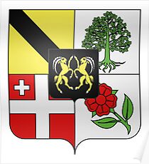 French France Coat of Arms 15975 Blason famille Nieffeln Schwyl und Bach Heim Poster