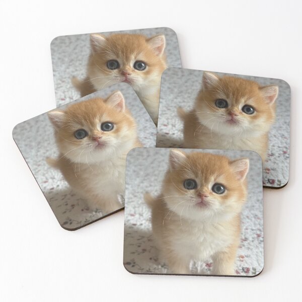 Item preview, Golden British Shorthair Cat Portrait designed and sold by oxananemyrovska.
