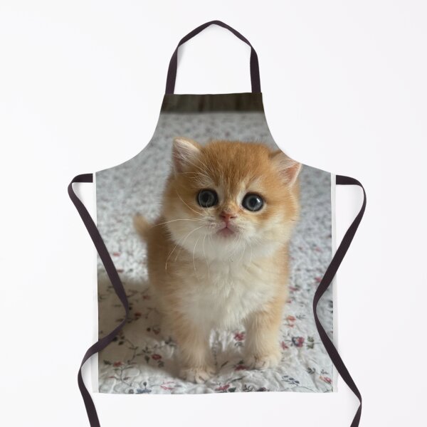 Item preview, Golden British Shorthair Cat Portrait designed and sold by oxananemyrovska.