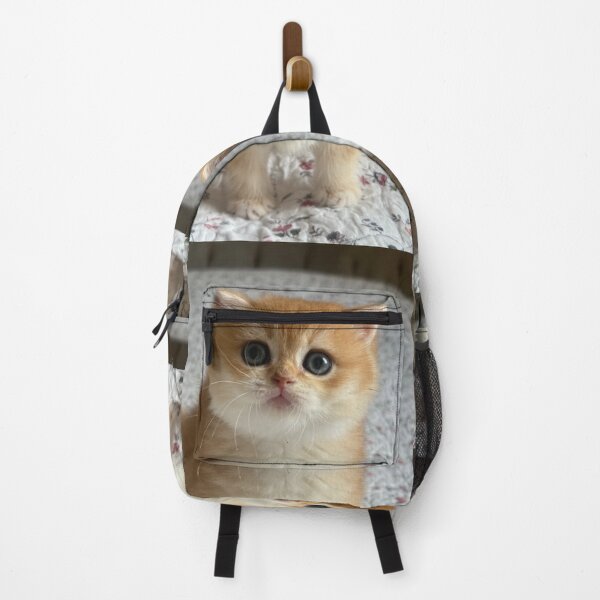 Item preview, Golden British Shorthair Cat Portrait designed and sold by oxananemyrovska.