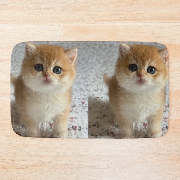 Item preview, Golden British Shorthair Cat Portrait designed and sold by oxananemyrovska.