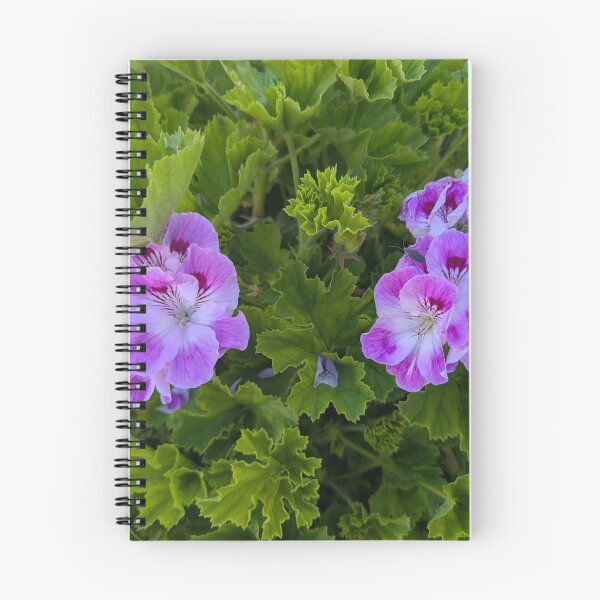 Item preview, purple pink  geranium flowers designed and sold by gaohao1.