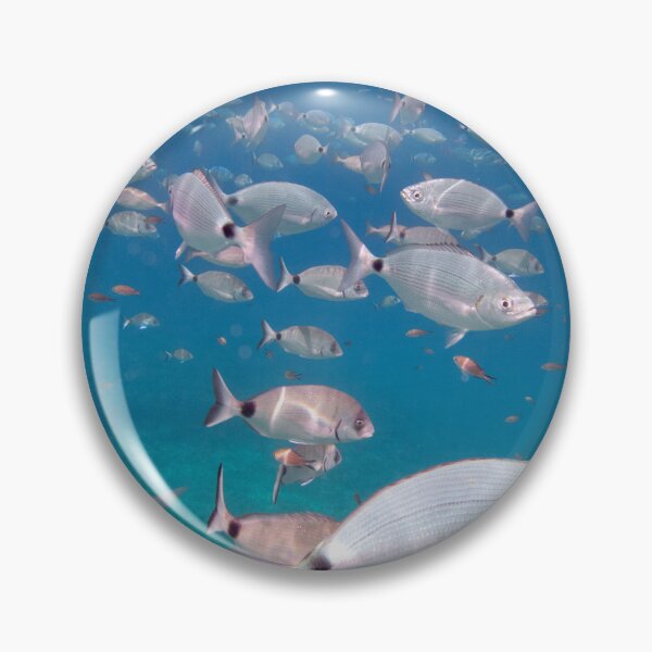 Item preview, Fish in Turquoise Mediterranean Waters designed and sold by Kasia Design.
