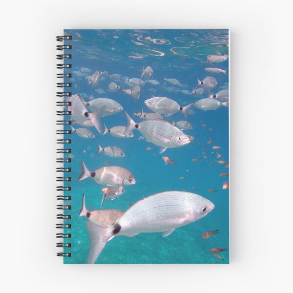 Item preview, Fish in Turquoise Mediterranean Waters designed and sold by Kasia Design.