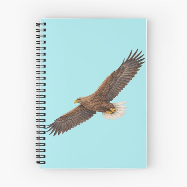 Item preview, White-tailed eagle – animal illustration designed and sold by JOANNASKAH.