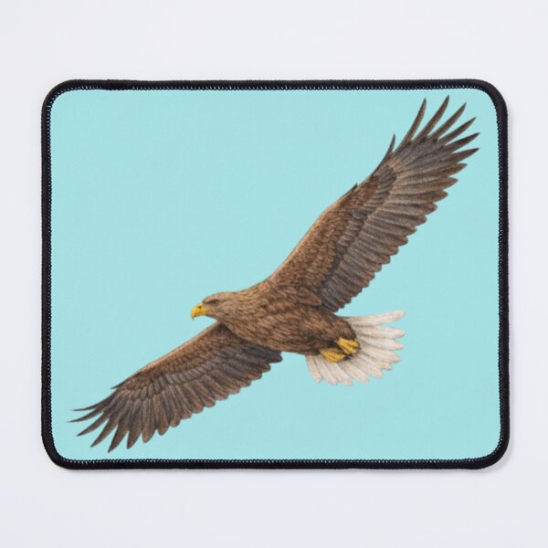 Item preview, White-tailed eagle – animal illustration designed and sold by JOANNASKAH.