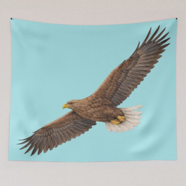Item preview, White-tailed eagle – animal illustration designed and sold by JOANNASKAH.