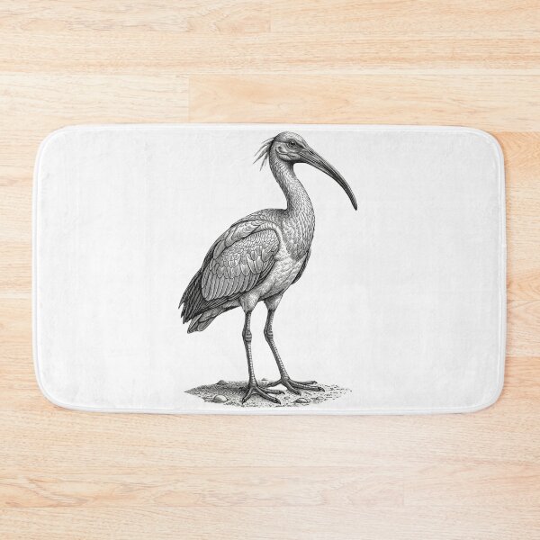 Item preview, Realistic high detail black and white ibis designed and sold by Minimalisticaly.