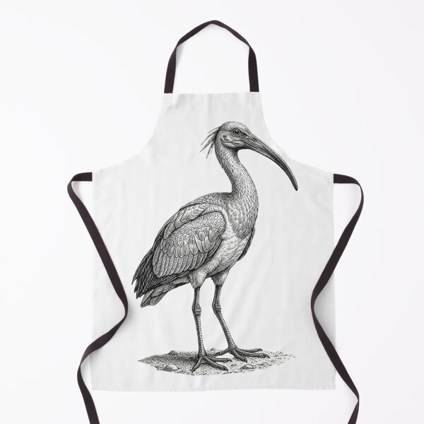 Item preview, Realistic high detail black and white ibis designed and sold by Minimalisticaly.