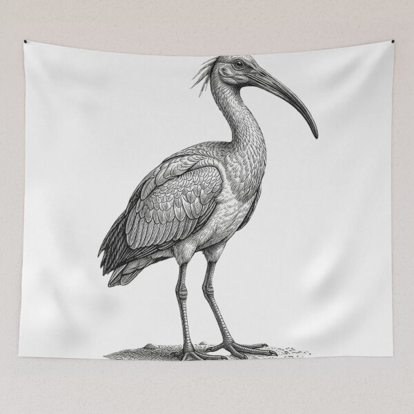 Item preview, Realistic high detail black and white ibis designed and sold by Minimalisticaly.