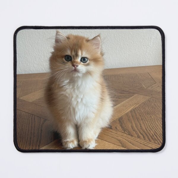 Item preview, Cute Fluffy Ginger Kitten Sitting On Wooden Floor designed and sold by oxananemyrovska.
