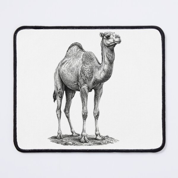 Item preview, Realistic high detail black and white camel designed and sold by Minimalisticaly.