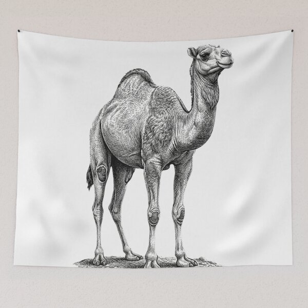 Item preview, Realistic high detail black and white camel designed and sold by Minimalisticaly.