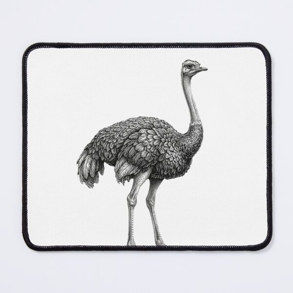 Item preview, Realistic high detail black and white ostrich designed and sold by Minimalisticaly.