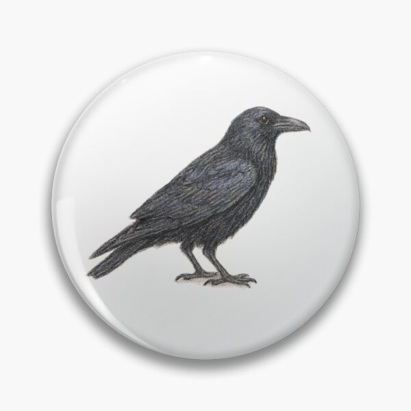 Item preview, Common raven – animal illustration designed and sold by JOANNASKAH.