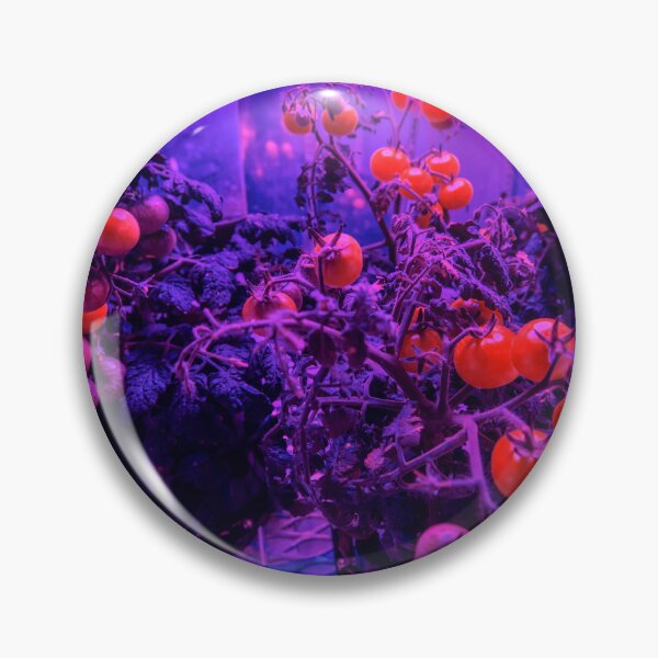 Artikelvorschau, TOMATEN IM WELTRAUM entworfen und verkauft von THE GOOD FIND.