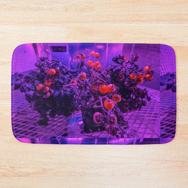 Item preview, TOMATO IN SPACE designed and sold by THE GOOD FIND.