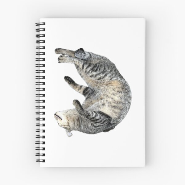 Item preview, A cute grey tabby cat lying on its back and playing, isolated on a clean white background, perfect for pet-related concepts and playful designs designed and sold by pipikijung.
