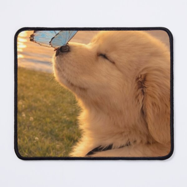 Item preview, Peaceful Puppy with Blue Butterfly at Sunset Aesthetic designed and sold by Jesus-istheway.