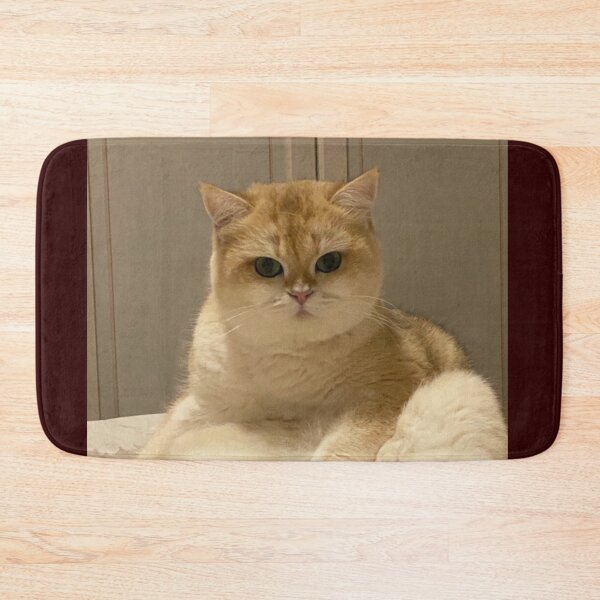 Item preview, Cute Golden British Shorthair Cat Sitting designed and sold by oxananemyrovska.