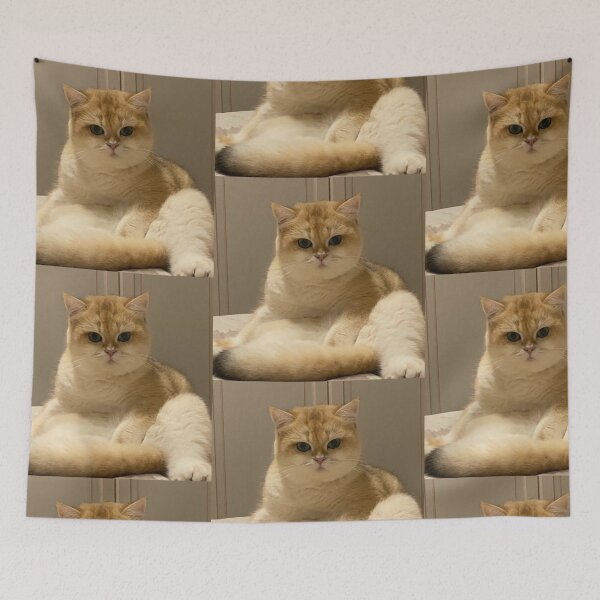 Item preview, Cute Golden British Shorthair Cat Sitting designed and sold by oxananemyrovska.