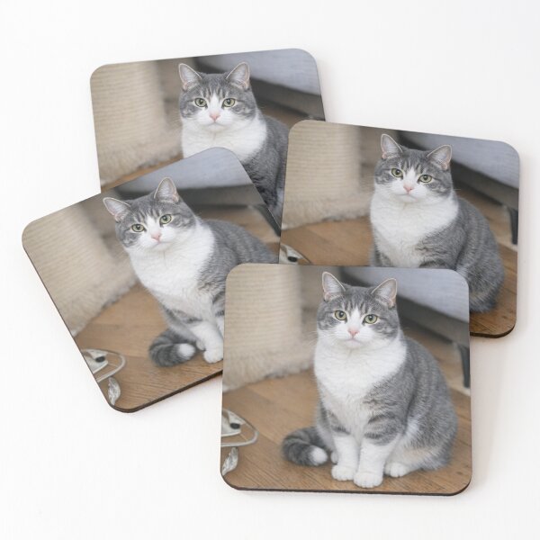 Item preview, Serious cat designed and sold by Diah42.