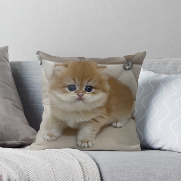 Item preview, Adorable Fluffy Ginger  British Kitten Portrait designed and sold by oxananemyrovska.