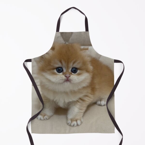 Item preview, Adorable Fluffy Ginger British Kitten Portrait designed and sold by oxananemyrovska.