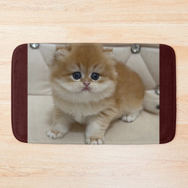Item preview, Adorable Fluffy Ginger  British Kitten Portrait designed and sold by oxananemyrovska.