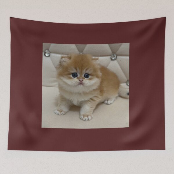 Item preview, Adorable Fluffy Ginger  British Kitten Portrait designed and sold by oxananemyrovska.