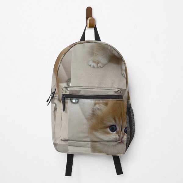 Item preview, Adorable Fluffy Ginger British Kitten Portrait designed and sold by oxananemyrovska.