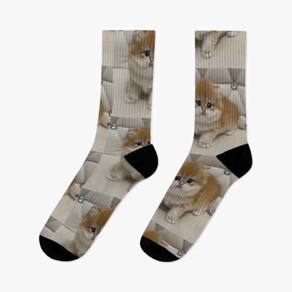 Item preview, Adorable Fluffy Ginger  British Kitten Portrait designed and sold by oxananemyrovska.